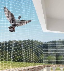 Professional bird netting service in Pune and PCMC