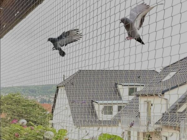 Bird Netting Service in Pune