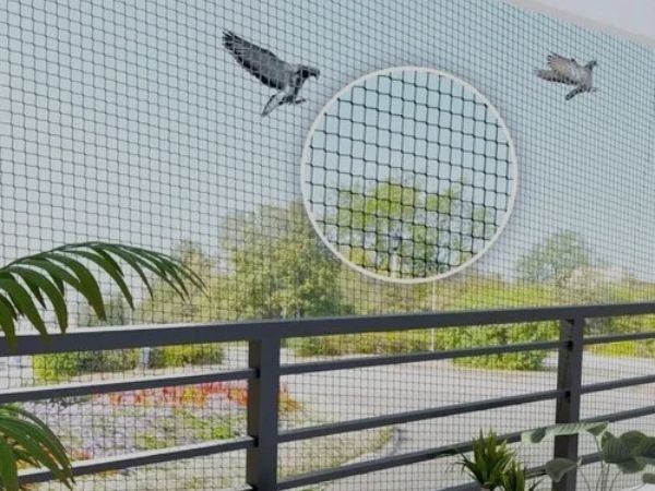 A Trusted Bird Netting Company Serving Pune