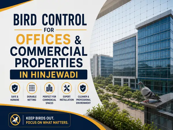 Bird Control for Offices & Commercial Properties in Hinjewadi
